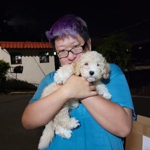 Meet your Posher, Samuel